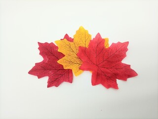 replicas of red and yellow leaves made of paper with black leaf veins and a white background