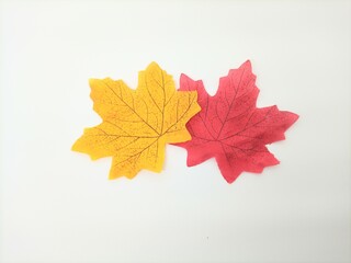 replicas of red and yellow leaves made of paper with black leaf veins and a white background