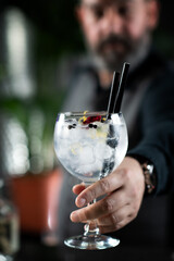 Aromatic Gin Tonic Cocktail