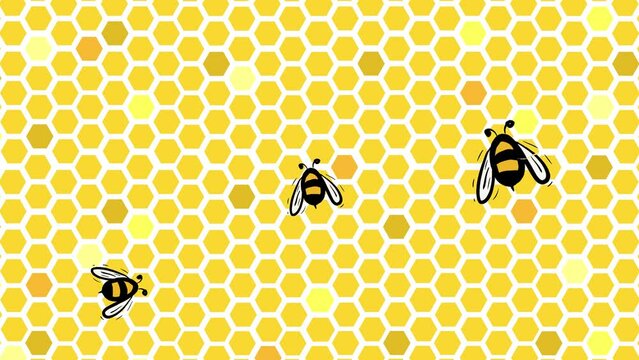 Bees fly over honeycombs. Animation