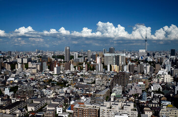 Fototapeta premium 東京の街並み