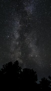 Time lapse of The Milky Way Galaxy moves over a forest on a starry night