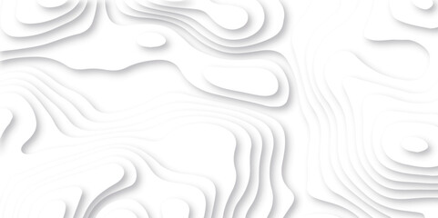 Abstract white paper cut background with lines. Background of the topographic map. White wave paper curved reliefs abstract background. Realistic papercut decoration textured with wavy layers.