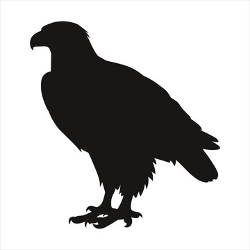 black silhouette of a  Bald eagle with thick outline side view isolated