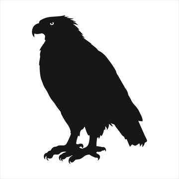 black silhouette of a  Bald eagle with thick outline side view isolated