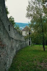 Obraz premium Eine alte Burgmauer an einer Wiese mit Bäumen, die auf einen kleinen alten Aussichtsturm zuläuft