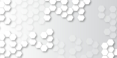 Abstract white and gray hexagonal honeycomb pattern background. hexagon concept design abstract technology background vector. 3d honeycomb paper texture gray copy space, Wallpaper for text.