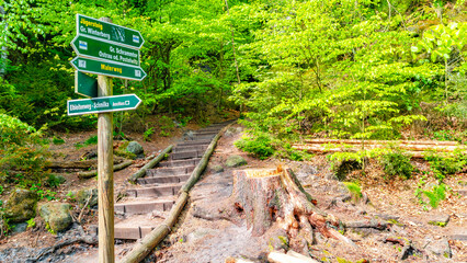 Hiking trail and direction post and info stand at Sandstone rocks Schrammstein group in the...