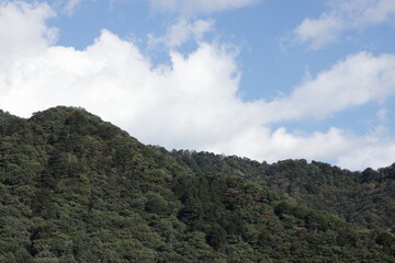 Obraz premium 山と森と空の風景