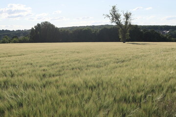 Various fields, wide lands, and valleys. With interesting colors, lines, and textures. Shot in France.