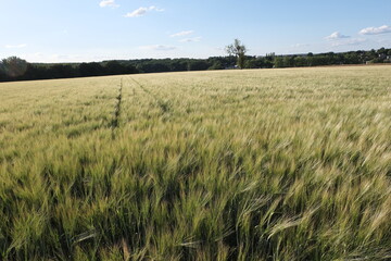 Various fields, wide lands, and valleys. With interesting colors, lines, and textures. Shot in France.