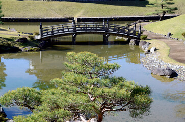 庭園の池
