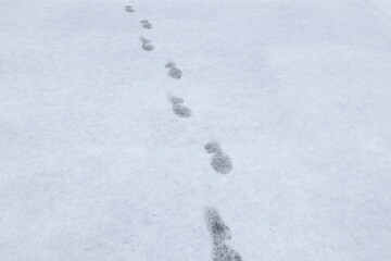 雪の上に残された足跡