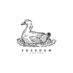 Vintage retro hand drawn swimming duck in the pond logo design vector