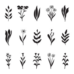 plant hand drawn vector set	 - obrazy, fototapety, plakaty