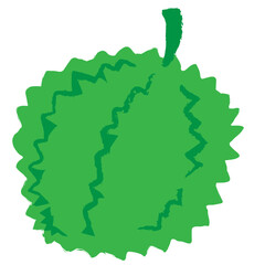durian fruit illustration