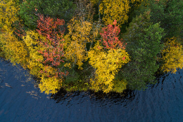 An aerial of colorful trees during fall foliage next to some dark water near Kuusamo, Northern Finland