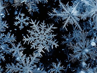 Snowflake Snowflakes Snow Macro Close-up Winter Background Wallpaper Image	
