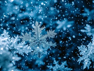 Fototapeta na wymiar Snowflake Snowflakes Snow Macro Close-up Winter Background Wallpaper Image