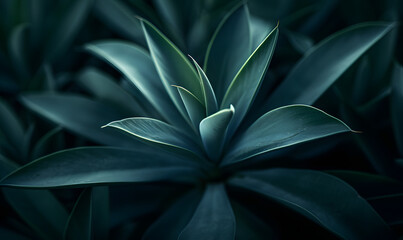 green agave plant, Generative AI - obrazy, fototapety, plakaty