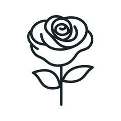 Linear vector drawing of a rose with two leaves on a stem, on a white background.