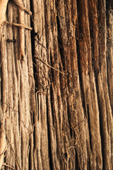 Fototapeta premium Peaceful lake surrounded by lush green trees under a clear blue sky