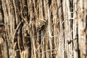 Peaceful lake surrounded by lush green trees under a clear blue sky