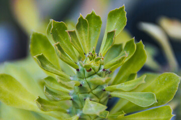Peaceful lake surrounded by lush green trees under a clear blue sky