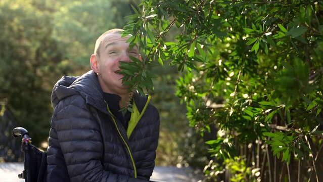 Happy disabled man in wheelchair enjoying while smelling a plant in an urban park during a sunny day of winter