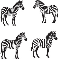 Fototapeta na wymiar Set of Zebra black and white 