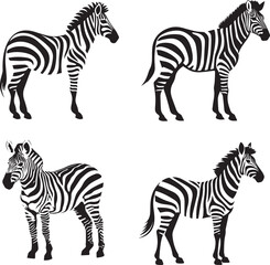 Fototapeta na wymiar Set of Zebra black and white 