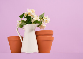 Clay pots for growing plants and a white jug with jasmine flowers. Copy space for text.