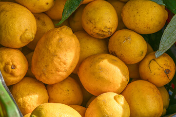 lemons in a box near a shop in the village 1