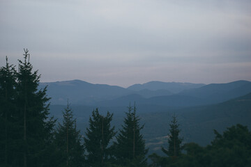 beautiful mountains. Ukrainian Carpathian Mountains