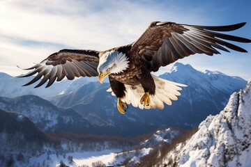 Fototapeta premium Bald eagle Flying over the Mountain