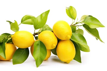 Isolated lemon on white background with green leaves