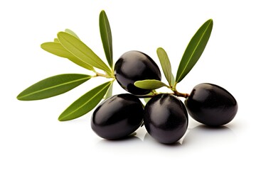 Olives on branch isolated on white background with clipping path