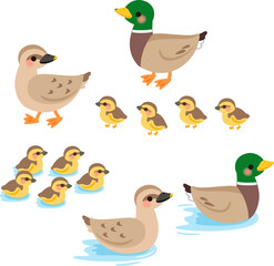 鴨のデフォルメイラストセット