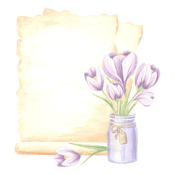 recommend clip art: Watercolor composition papyrus, aged sheets of paper with bouquet of violet crocuses flowers in glass jar with tag. Isolated hand drawn illustration template for cards, packaging , textile, sticker
