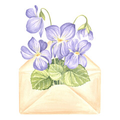 Watercolor bouquet of wild violet flower in envelope. Isolated hand drawn illustration of spring blossom. Floral template for card, packaging and tableware, textile and sticker, embroidery