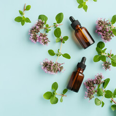 Wild oregano essential oil in a glass bottle surrounded by fresh Origanum vulgare flowering twigs. Pastel blue background. Aromatherapy concept. Top view, flat lay. Medical herb.