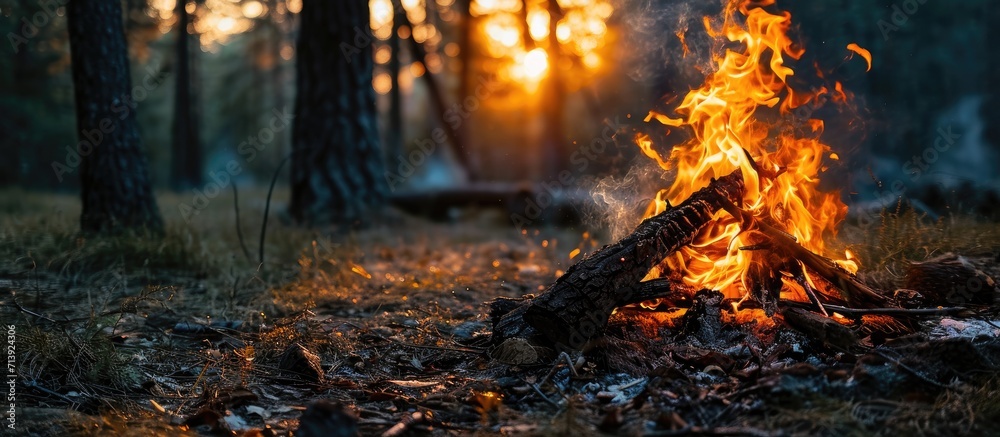 Sticker bonfire in the forest fire close up Close up burning bonfire and flames Bonfire in forest close up. Creative Banner. Copyspace image