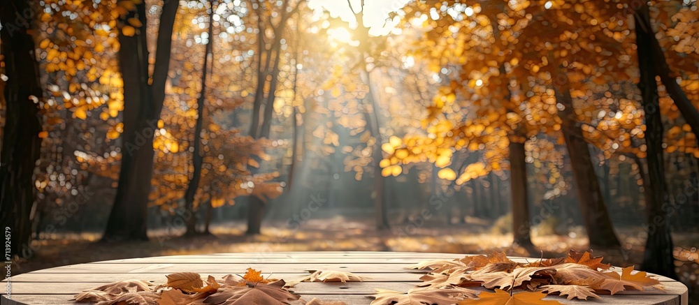 Aufkleber Blurred forest background Empty table podium in the foreground Autumn. Creative Banner. Copyspace image