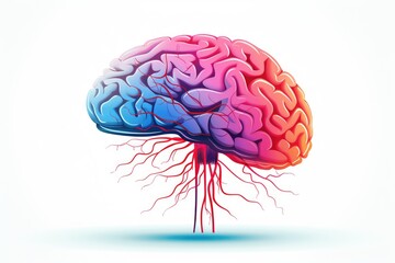 Human brain creative colorful skull, left and right brain hemisphere, cerebral human mind Illustration, brain, hemisphere. Colorful business vector, agile brain hemispheres synapses communicating