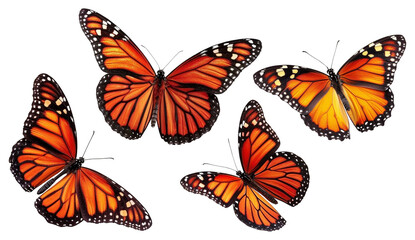 set of butterflies isolated on  transparent background
