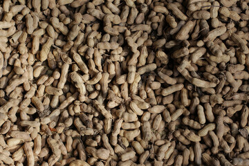 Organic, natural agriculture in garden of village house. Hard-shelled walnut fruit from the Juglans regia L. family. Photo of a lot of brown shelled walnuts prepared for sinking in large black crates.