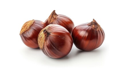 Chestnut on isolated white background.