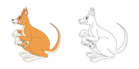 Kangaroo line and color illustration. Cartoon vector illustration for coloring book.