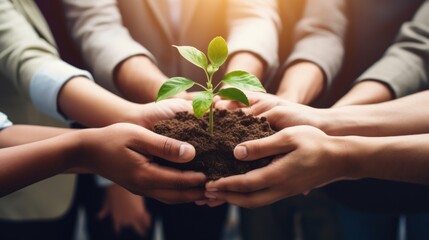 Close up of human hands holding green sprout in soil. Earth day concept Generative AI