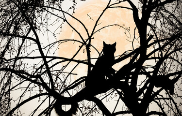Cat alone in a tree at dusk